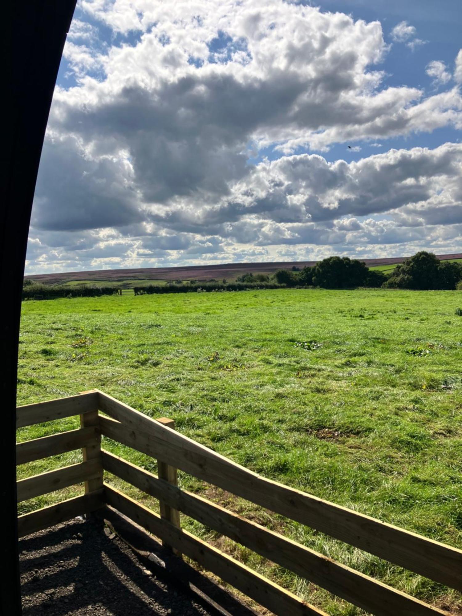 Campsite Cow Pasture Pod